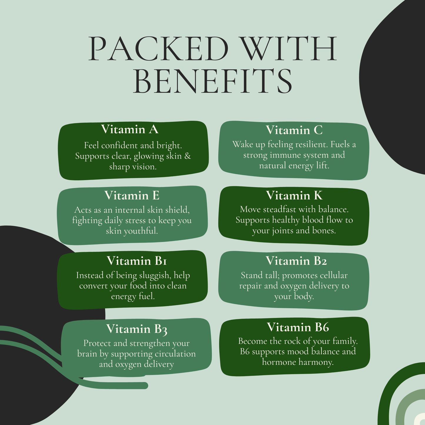 VitaNova PURE Moringa: Earths #1 Superfood