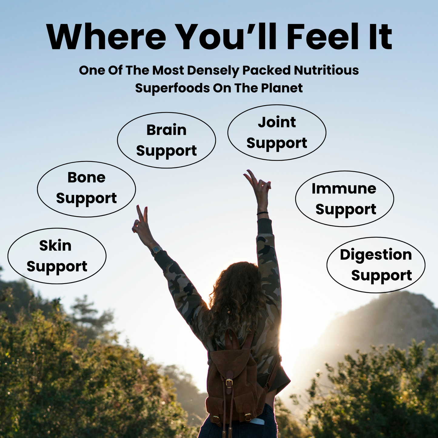 VitaNova PURE Moringa: Earths #1 Superfood