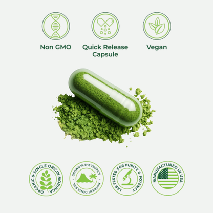 VitaNova PURE Moringa: Earths #1 Superfood